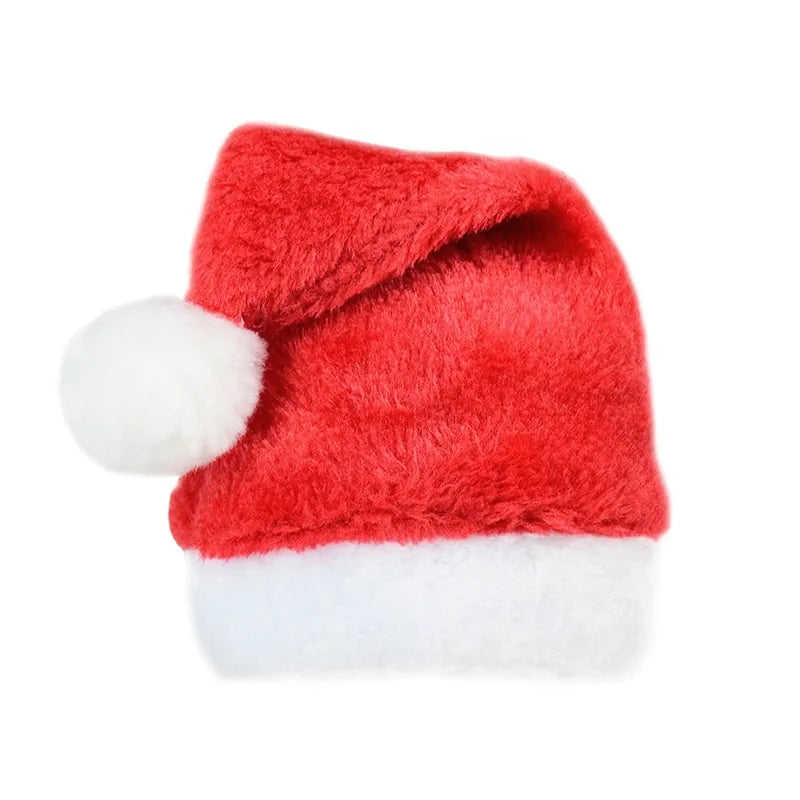 Pet Santa Hat