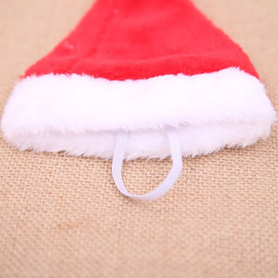 Pet Santa Hat