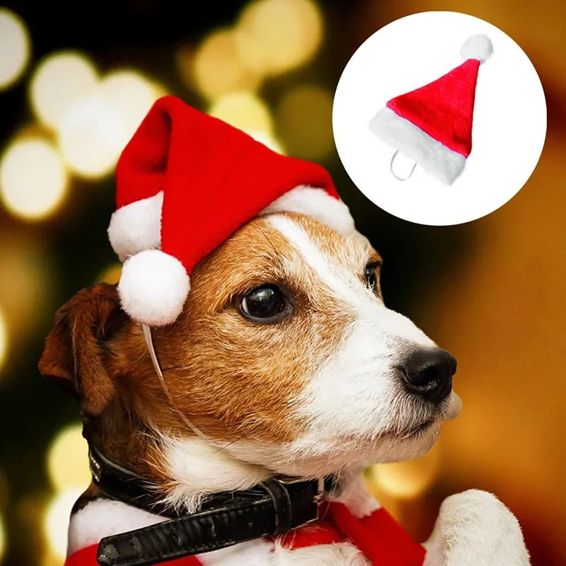 Pet Santa Hat