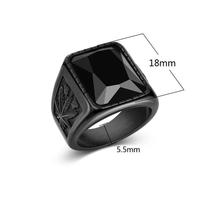 Jiayiqi Men's Stainless Steel Stone Ring